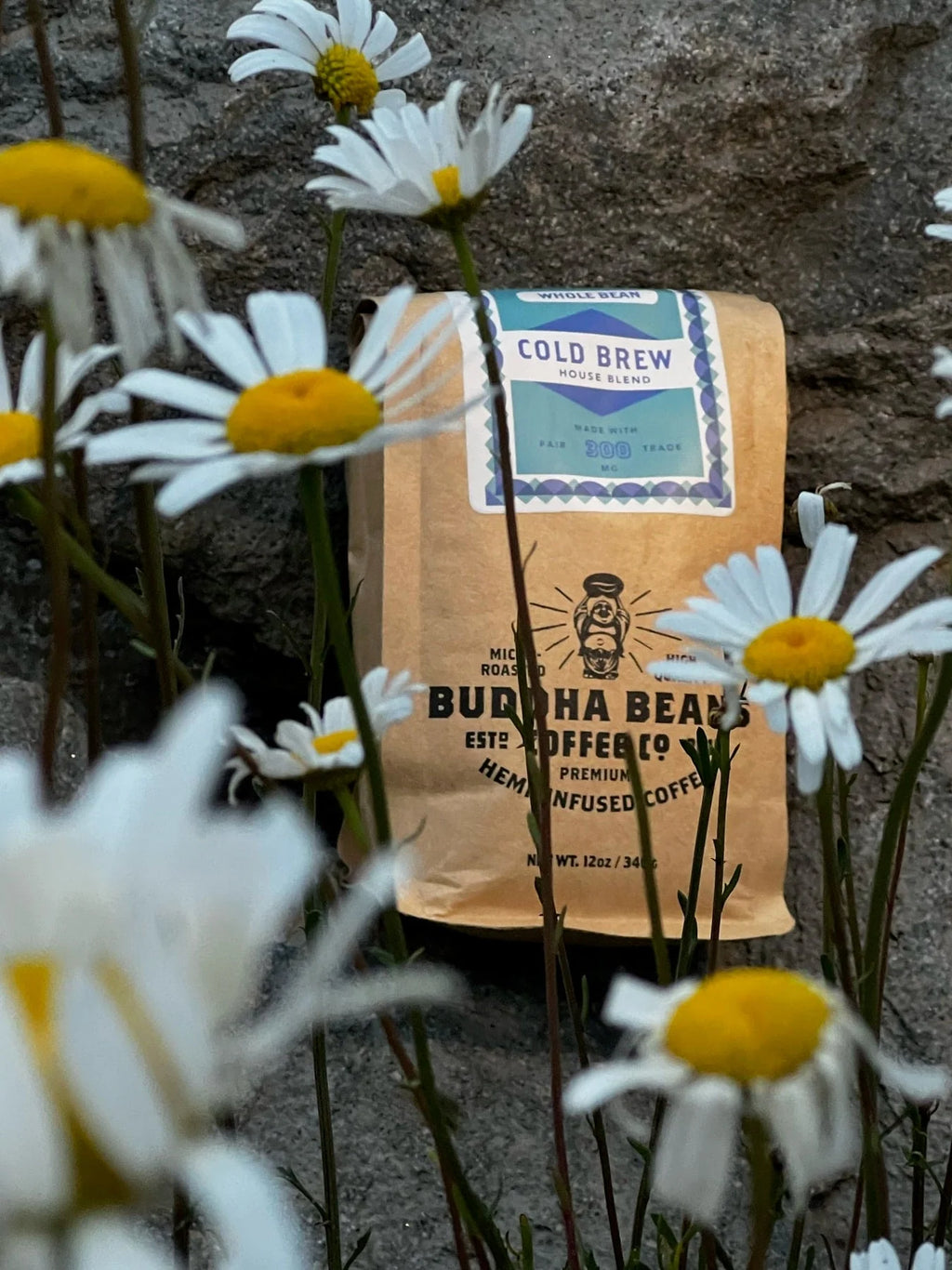 CBD Cold Brew Coffee Blend 300mg CBD